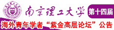 逼爱插影院南京理工大学第十四届海外青年学者紫金论坛诚邀海内外英才！